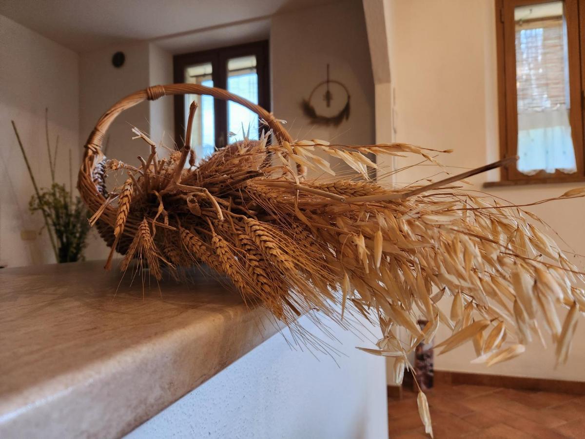 Le Crete - Apartment Asciano