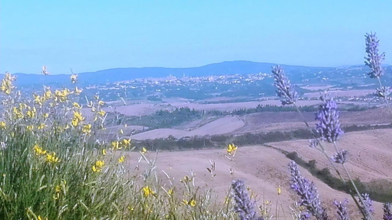 Le Crete - *